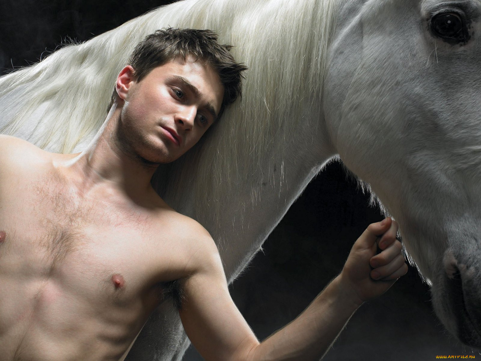 daniel, radcliffe, 